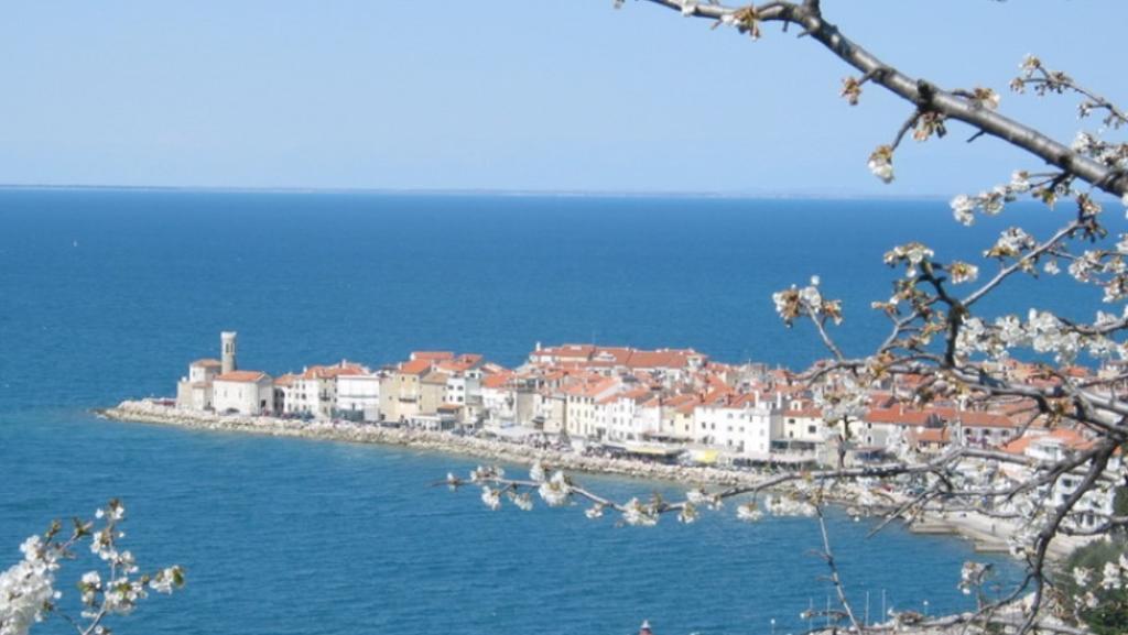 Apartment Hisa 7 Piran Rom bilde